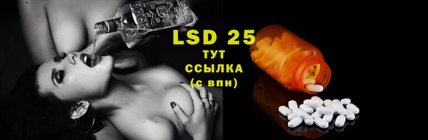 MDMA Premium VHQ Бугульма